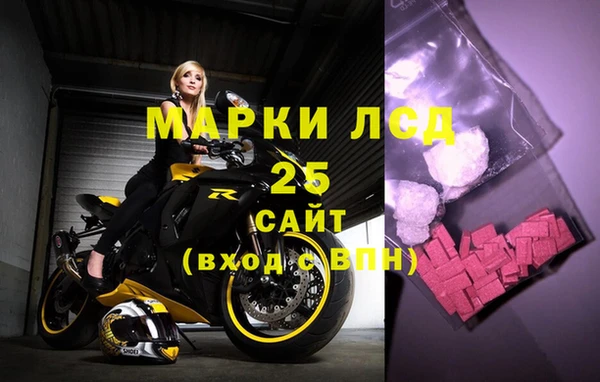 Альфа ПВП Аркадак