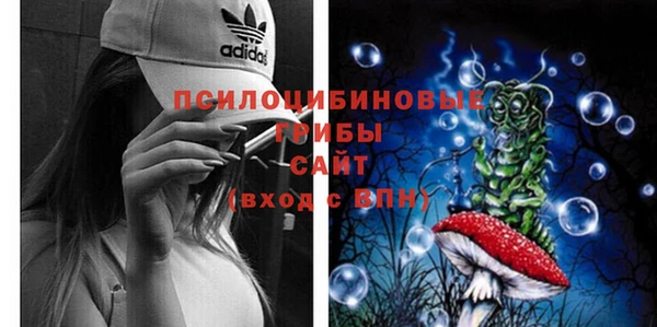 прущая мука Армянск