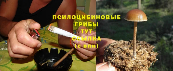 бошки Арсеньев
